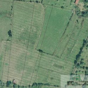 venta de Terreno en Grado / Asturias (Ref 506/24)