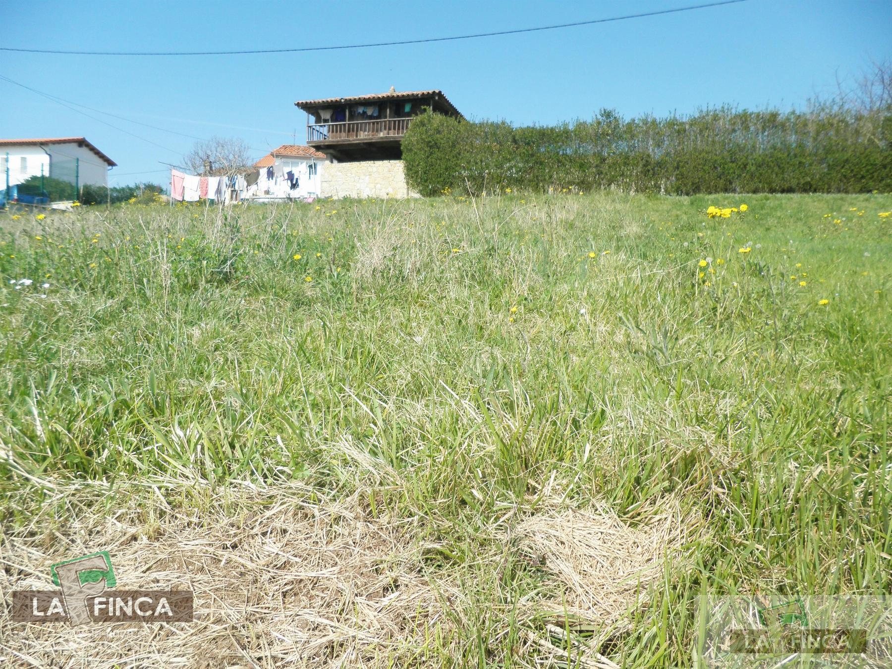 venta de Terreno en Oviedo / Asturias (Ref 353/24)