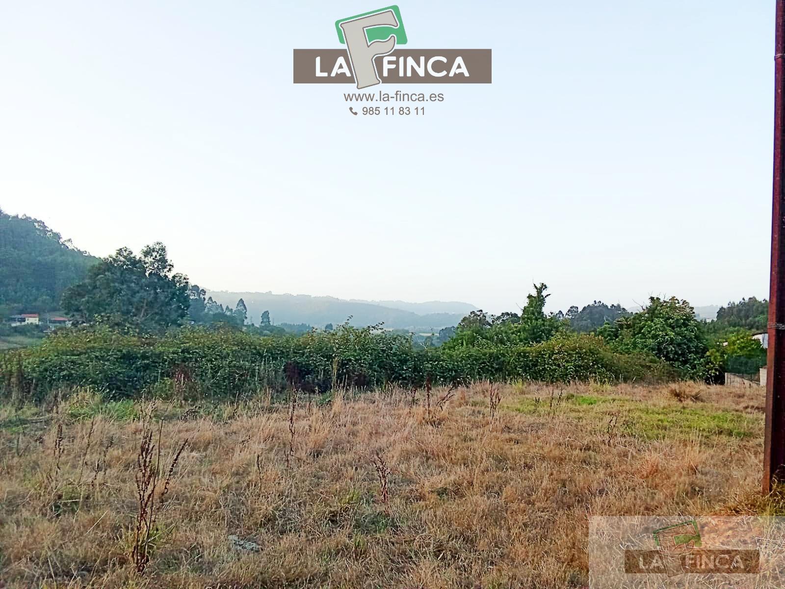 venta de Finca Rustica en Pravia / Asturias (Ref 591-25)