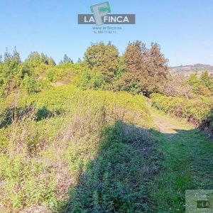venta de Finca Rustica en Pravia / Asturias (Ref 599-25)