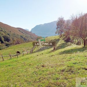 venta de Terreno en Morcín / Asturias (Ref 630-25)