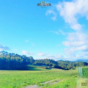 venta de Terreno en Soto del Barco Concejo / Asturias (Ref 635-25)