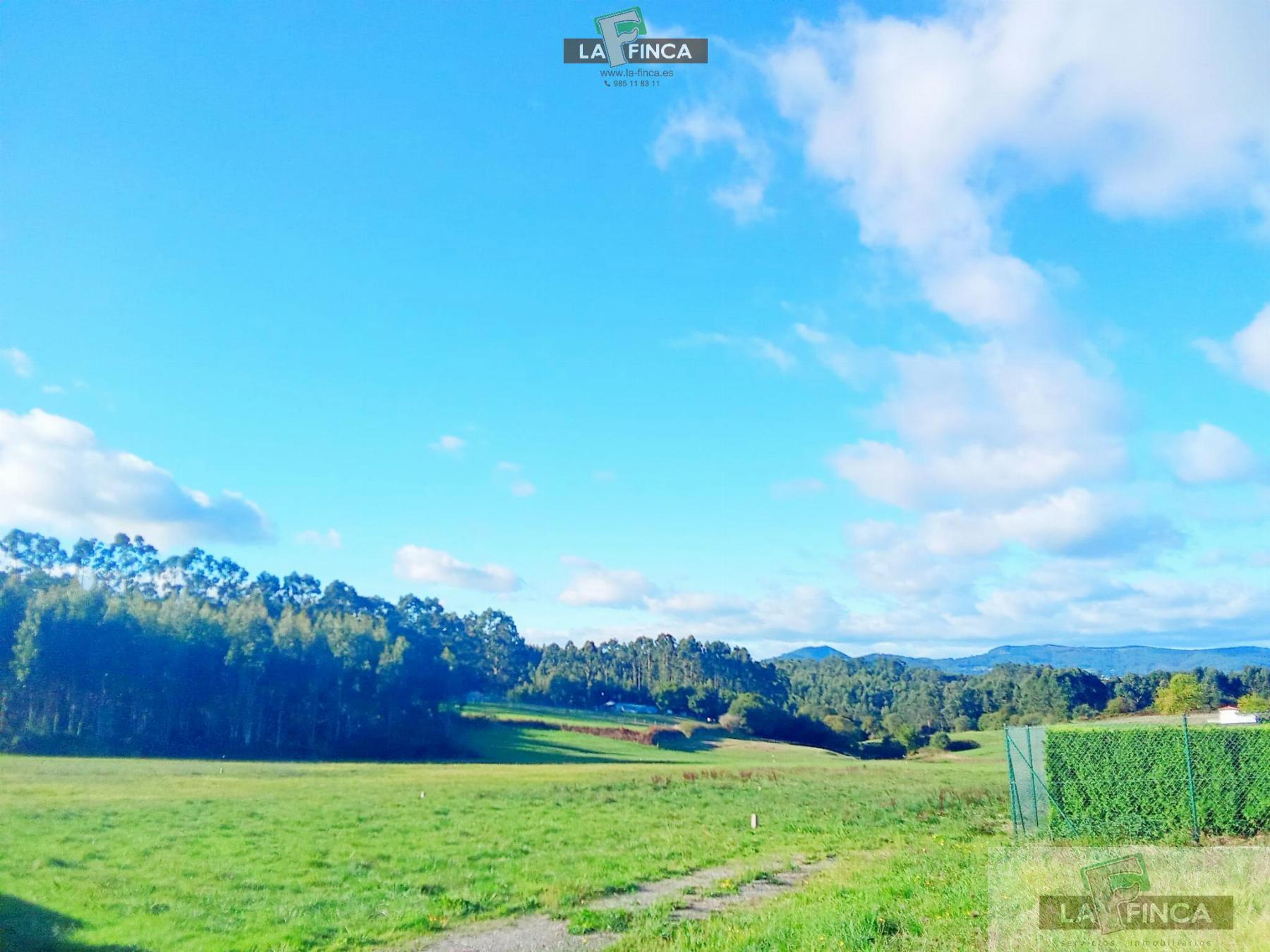 venta de Terreno en Soto del Barco Concejo / Asturias (Ref 635-25)