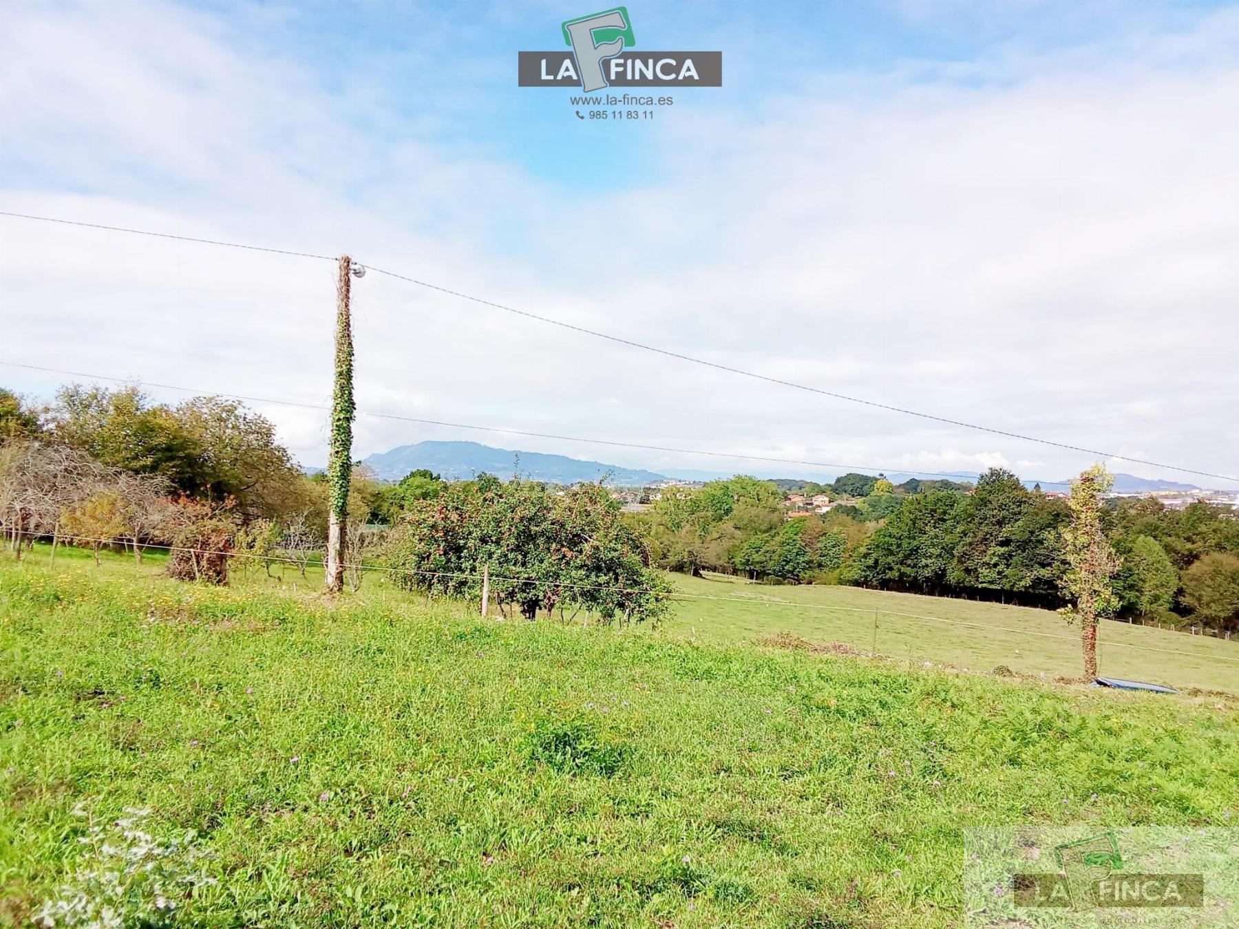 venta de Terreno en Siero / Asturias (Ref 609-25)