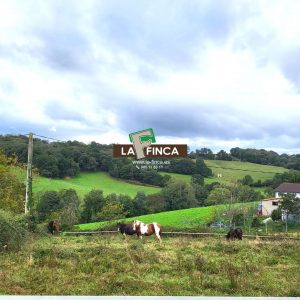 venta de Terreno en Siero / Asturias (Ref 635/23)