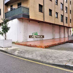 venta de Local en Langreo / Asturias (Ref 891)