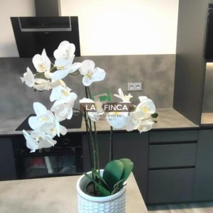 venta de Apartamento en Oviedo / Asturias (Ref 517-25)