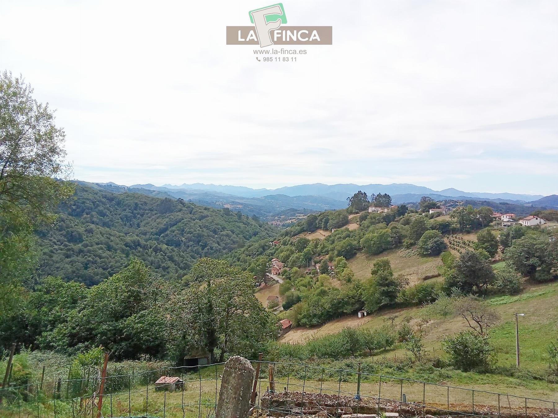 venta de Terreno en Siero / Asturias (Ref 578-25)