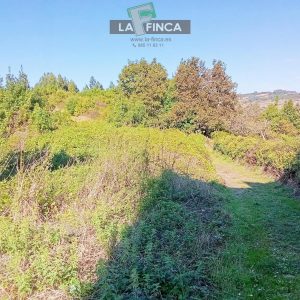 venta de Finca Rustica en Pravia / Asturias (Ref 599-25)