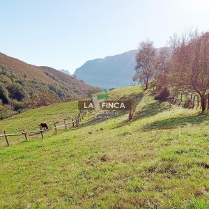 venta de Terreno en Morcín / Asturias (Ref 630-25)