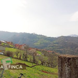 venta de Terreno en Olloniego/Lluniego / Asturias (Ref 736-26)