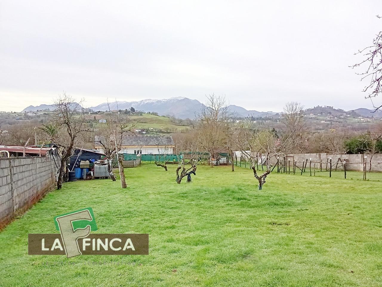 venta de Terreno en Oviedo / Asturias (Ref 737-26)