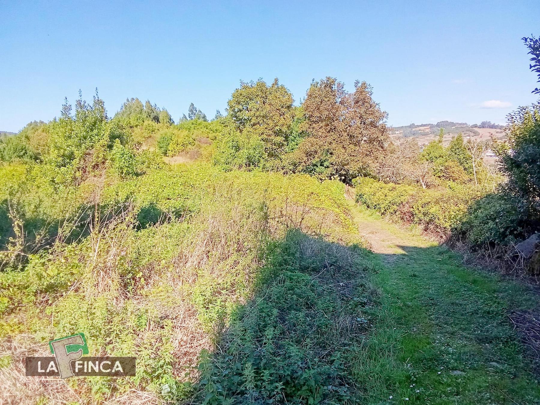 venta de Finca Rustica en Pravia / Asturias (Ref 599-25)