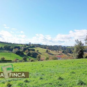 venta de Terreno en Llanera / Asturias (Ref 636-25)