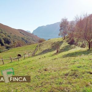 venta de Terreno en Morcín / Asturias (Ref 630-25)