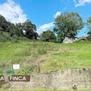 venta de Terreno en San Martín del Rey Aurelio / Asturias (Ref 783-26)