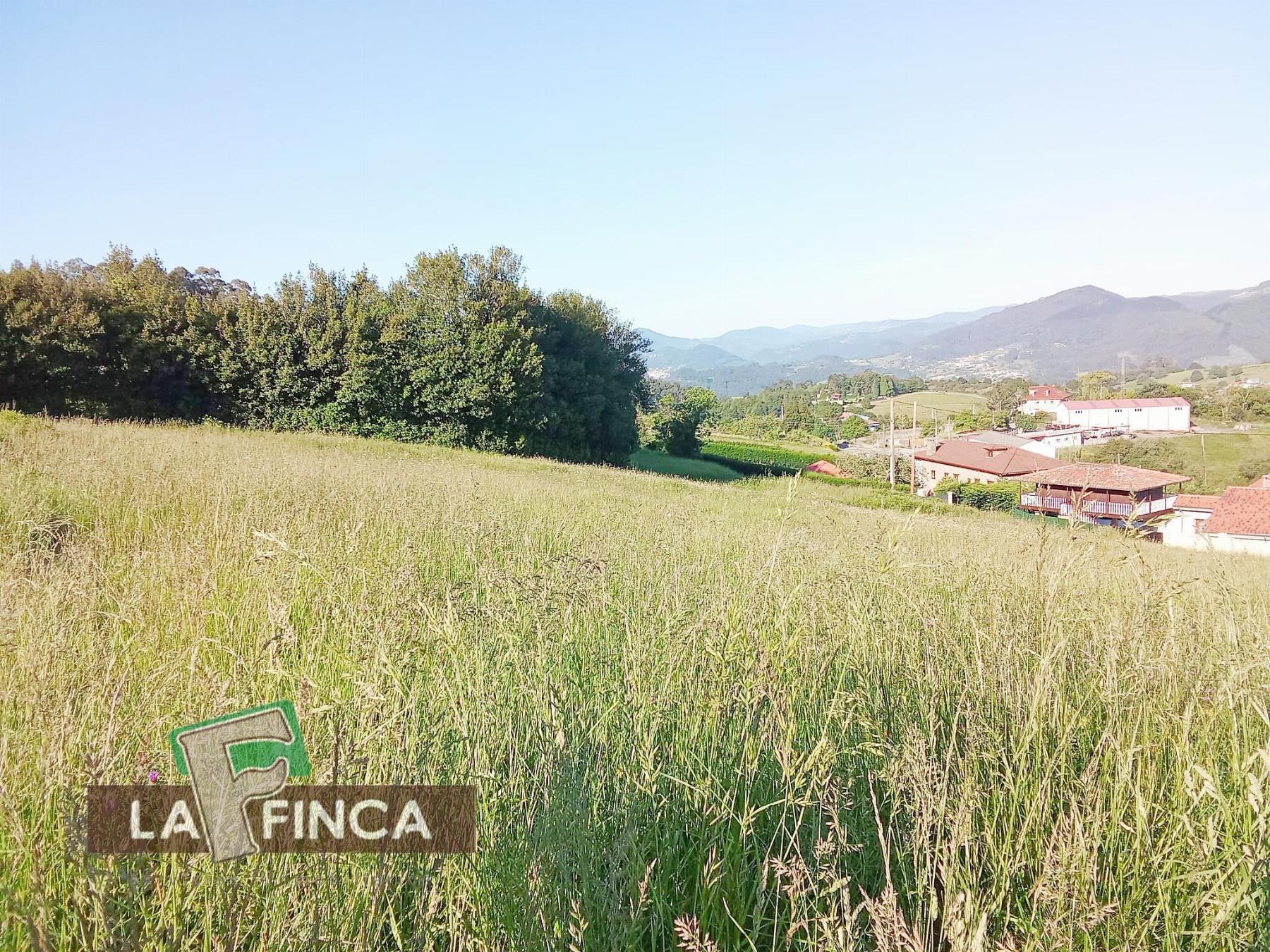 venta de Terreno en Soto del Barco Concejo / Asturias (Ref 826-26)