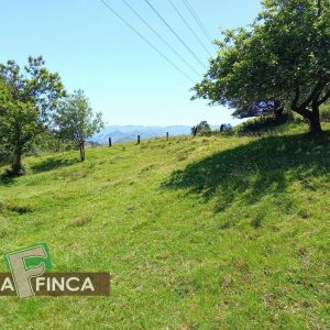 venta de Terreno en Oviedo / Asturias (Ref 862-26)