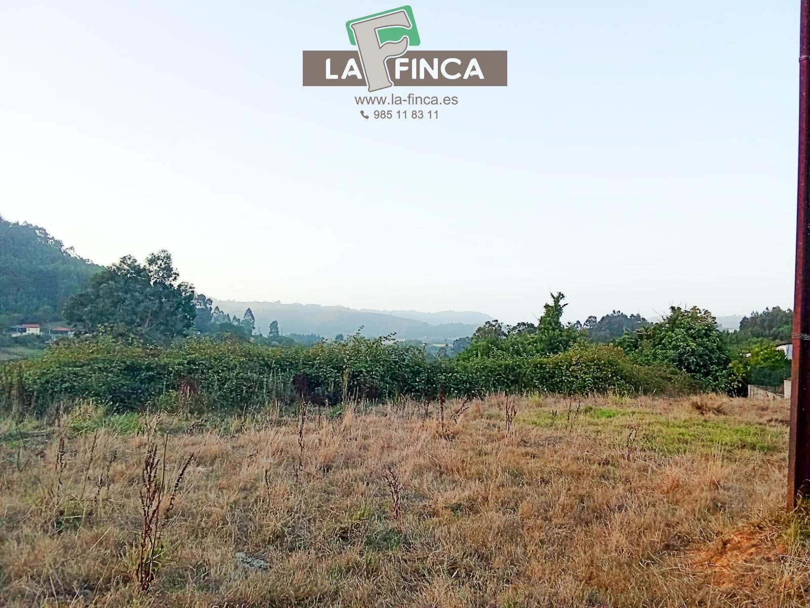venta de Terreno en Pravia / Asturias (Ref 591/25)